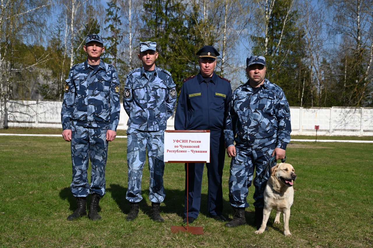 Кинолог УФСИН по Чувашии выполнил норматив на кандидата в мастера спорта по  многоборью кинологов — Чувашинформ.рф